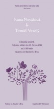 Svatební oznámení tištěné - DL nastojato - obj. kód OTdl2014